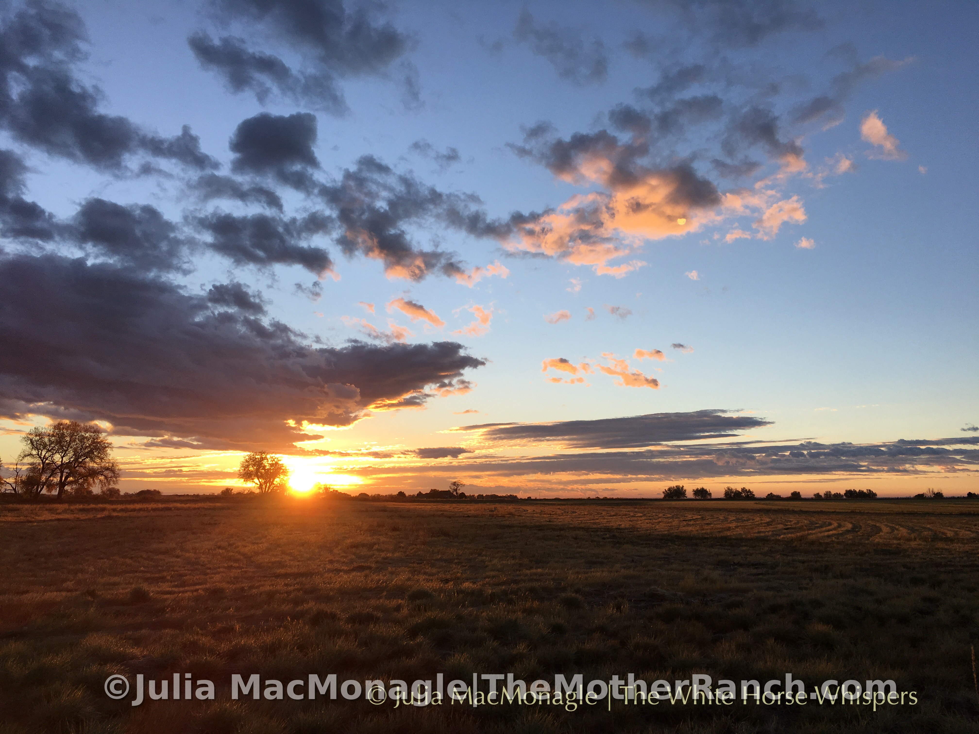 Sunrise out on the plains from our bedroom