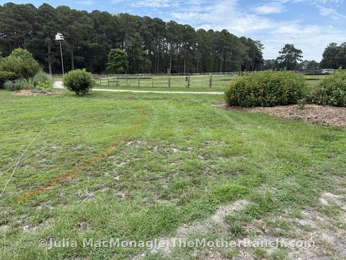 I did mark off the new driveway cut